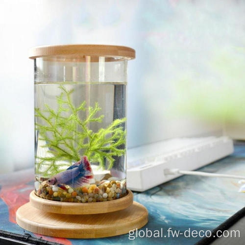 Large Glass Fish Bowl Small Glass Aquarium Bamboo Base Mini Fish Tank Supplier